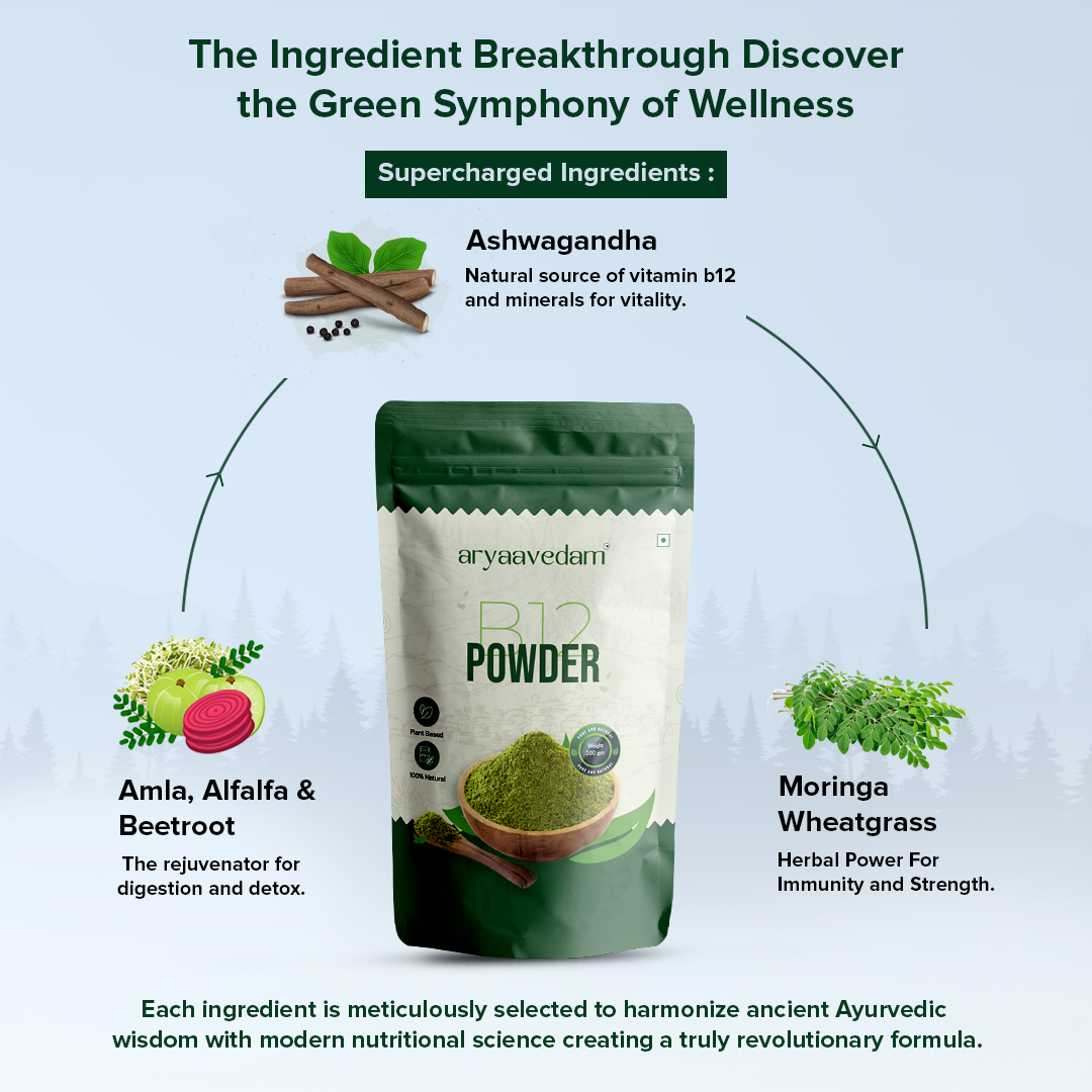 Aryaavedam Plant-Based B12 Powder – Natural Blend of 6 Superfoods for Energy, Immunity & Overall Wellness (200g)