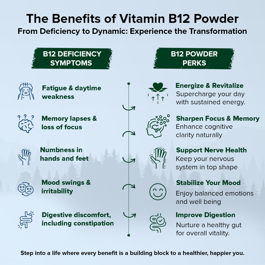 Aryaavedam Plant-Based B12 Powder – Natural Blend of 6 Superfoods for Energy, Immunity & Overall Wellness (200g)