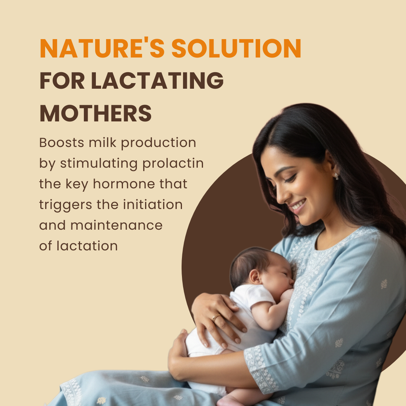 Aryavedam Shatavari Capsules | Natural Hormonal Balance & Women’s Wellness (60 Capsules) Plant-Based Support for Hormonal Health, Vitality & Reproductive Strength